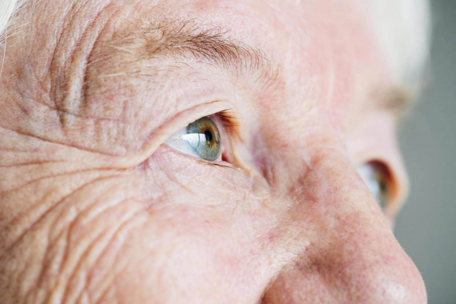 elderly parents loneliness