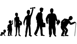 An Analysis of Longer Life Expectancy in Society